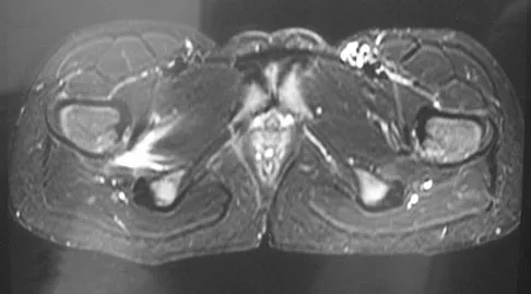 Anatomy 2008 Practice Questions: Set 1 (Solved) - Figure 9
