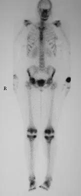 Anatomy Board Review 2008: High-Yield MCQs (Set 2) - Figure 18
