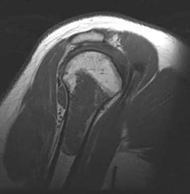 Anatomy Board Review 2008: High-Yield MCQs (Set 2) - Figure 32