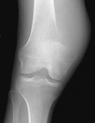 Anatomy 2026 MCQs: Board Review Questions & Answers (Part 1) - Figure 115