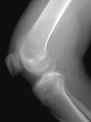 Anatomy 2026 MCQs: Board Review Questions & Answers (Part 1) - Figure 117