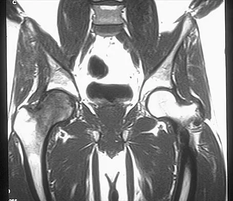 Anatomy 2026 MCQs: Board Review Questions & Answers (Part 1) - Figure 37