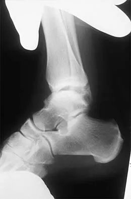 Anatomy 2026 MCQs: Board Review Questions & Answers (Part 1) - Figure 7