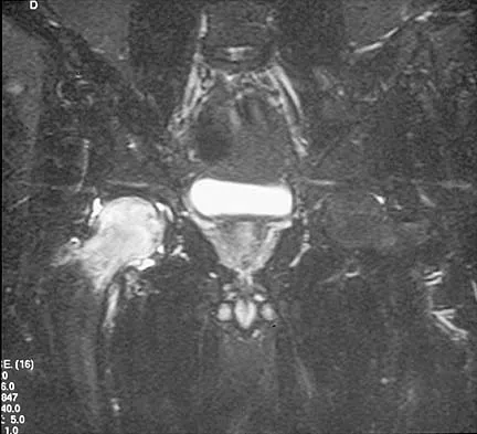Anatomy 2026 MCQs: Board Review Questions & Answers (Part 1) - Figure 75