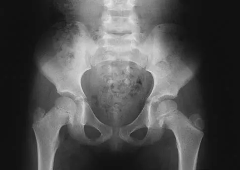 Anatomy 2026 MCQs: Board Review Questions & Answers (Part 2) - Figure 107