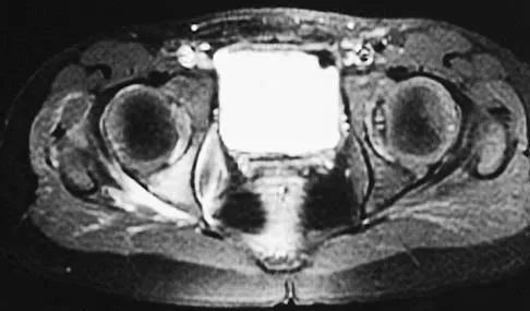 Anatomy 2026 MCQs: Board Review Questions & Answers (Part 2) - Figure 109