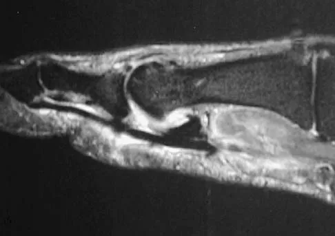 Anatomy 2026 MCQs: Board Review Questions & Answers (Part 2) - Figure 117