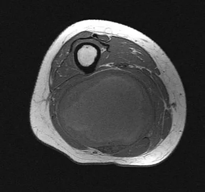 Anatomy 2026 MCQs: Board Review Questions & Answers (Part 2) - Figure 129