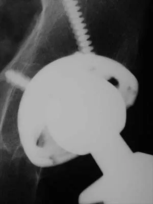 Anatomy 2026 MCQs: Board Review Questions & Answers (Part 2) - Figure 79