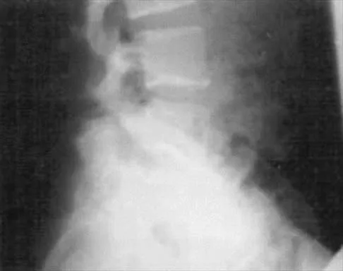 Anatomy 2026 MCQs: Board Review Questions & Answers (Part 2) - Figure 83