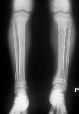 Anatomy 2026 MCQs: Board Review Questions & Answers (Part 3) - Figure 11