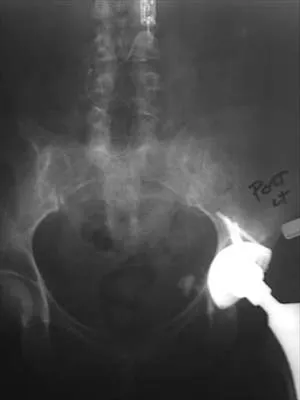 Anatomy 2026 MCQs: Board Review Questions & Answers (Part 3) - Figure 19