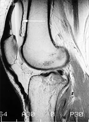 Anatomy 2026 MCQs: Board Review Questions & Answers (Part 3) - Figure 25