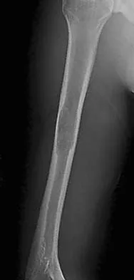 Anatomy 2026 MCQs: Board Review Questions & Answers (Part 3) - Figure 63