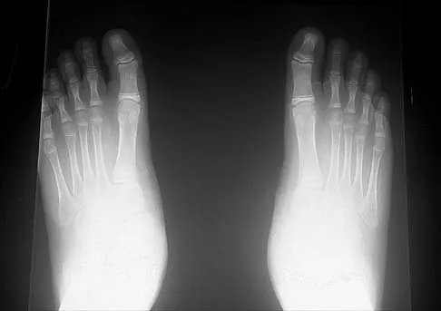Anatomy 2026 MCQs: Board Review Questions & Answers (Part 4) - Figure 3