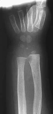 Anatomy 2026 MCQs: Board Review Questions & Answers (Part 4) - Figure 53