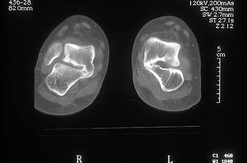 Anatomy 2026 MCQs: Board Review Questions & Answers (Part 4) - Figure 9