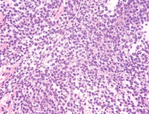 Click to enlarge Basic Science 2002 Practice Questions: Set 1 (Solved) - Figure 8