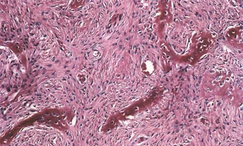 Basic Science Board Review 2002: High-Yield MCQs (Set 2) - Figure 13
