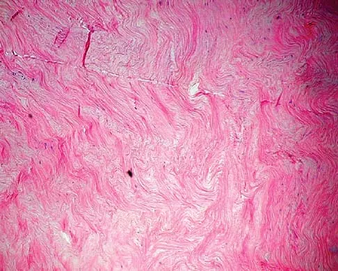 Basic Science 2005 Practice Questions: Set 1 (Solved) - Figure 41