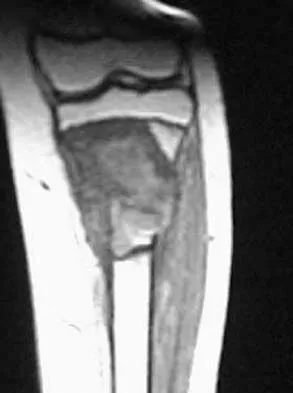 Basic Science 2005 Practice Questions: Set 1 (Solved) - Figure 5