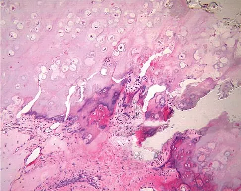 Basic Science 2005 Practice Questions: Set 1 (Solved) - Figure 52