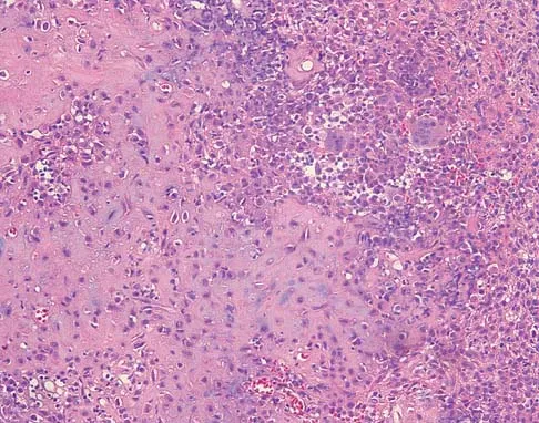 Basic Science 2005 Practice Questions: Set 3 (Solved) - Figure 12