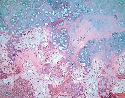 Basic Science Board Review 2005: High-Yield MCQs (Set 4) - Figure 31