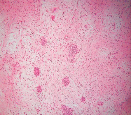 Click to enlarge Basic Science 2006 Practice Questions: Set 1 (Solved) - Figure 11
