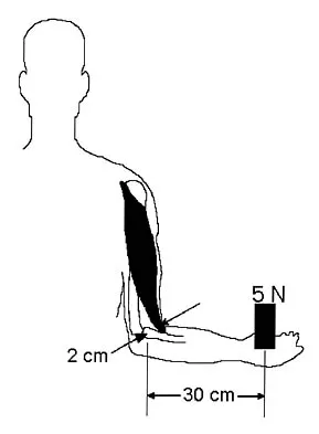 Basic Science Board Review 2006: High-Yield MCQs (Set 4) - Figure 1