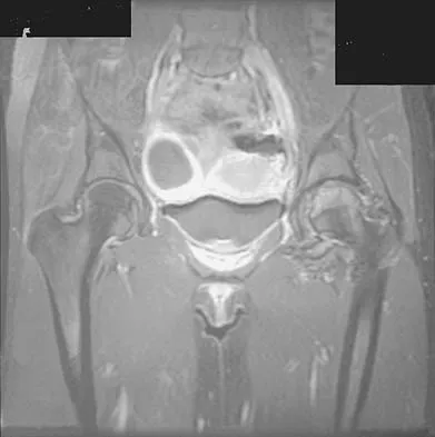 Basic Science 2026 MCQs: Board Review Questions & Answers (Part 1) - Figure 19