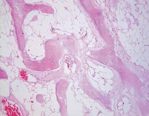 General Orthopedics Board Review 2026: High-Yield MCQs (Set 18) - Figure 133