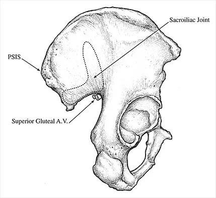 General Orthopedics 2026 Practice Questions: Set 5 (Solved) - Figure 10