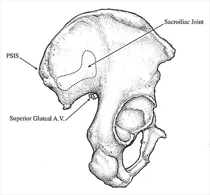 General Orthopedics 2026 Practice Questions: Set 5 (Solved) - Figure 13