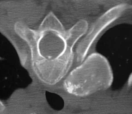 Pediatrics 2026 MCQs: Board Review Questions & Answers (Part 1) - Figure 12