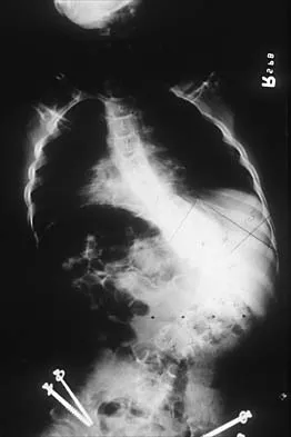 Pediatrics 2026 MCQs: Board Review Questions & Answers (Part 2) - Figure 91