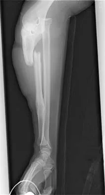 Trauma Board Review 2006: High-Yield MCQs (Set 4) - Figure 24