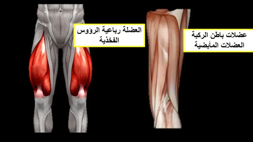 كل ما تحتاج معرفته عن عملية التئام الكسور وشفاؤها