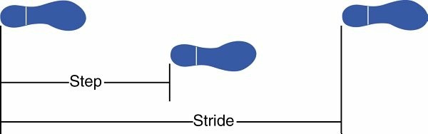 صورة توضيحية لـ إعادة التأهيل الحركي: فهم المشي، البتر، الأطراف الصناعية، الجبائر، وإصابات الجهاز العصبي مع الأستاذ الدكتور محمد هطيف