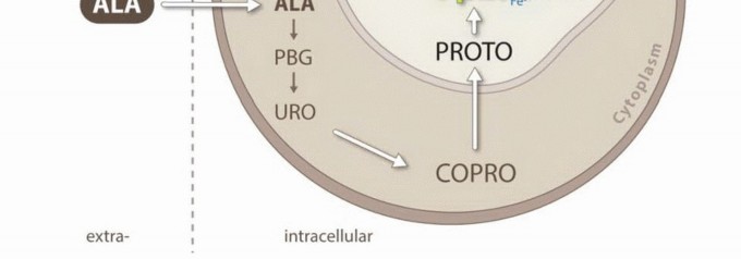 صورة توضيحية لشخص يشير إلى منطقة ألم في ساقه، ترمز لأعراض أورام الجهاز العضلي الهيكلي