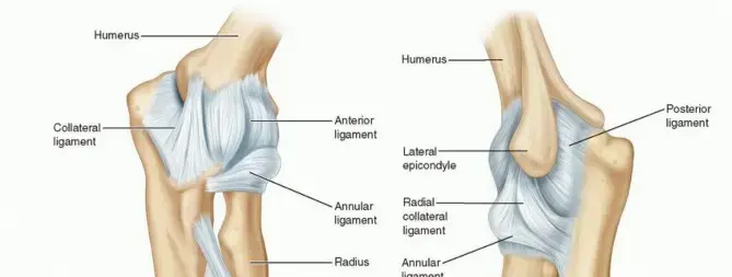 صورة توضيحية لـ تيبس المرفق: دليل شامل لاستعادة الحركة والتخلص من الألم مع الأستاذ الدكتور محمد هطيف