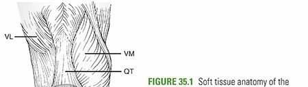 Illustration of extensor mechanism injuries - Dr. Mohammed Hutaif