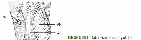 إصابات الرضفة والجهاز الباسط للركبة: دليلك الشامل لاستعادة الحركة في اليمن والخليج