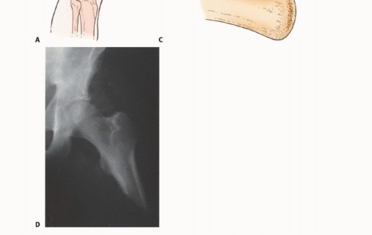 وصف طبي دقيق للمريض