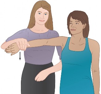 Illustration of elbow cases rotator - Dr. Mohammed Hutaif