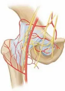 صورة توضيحية لـ التهاب مفصل الورك القيحي عند الأطفال: دليل شامل للآباء في اليمن والخليج العربي