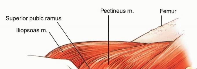 صورة طبية: استئصال نصف الحوض بالرفرفة الأمامية: حلول متقدمة لأورام الحوض الصعبة مع الأستاذ الدكتور محمد هطيف في صنعاء