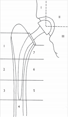 Illustration 23 for Pass Your Basic Sciences Viva: Key Anatomy & Pathology