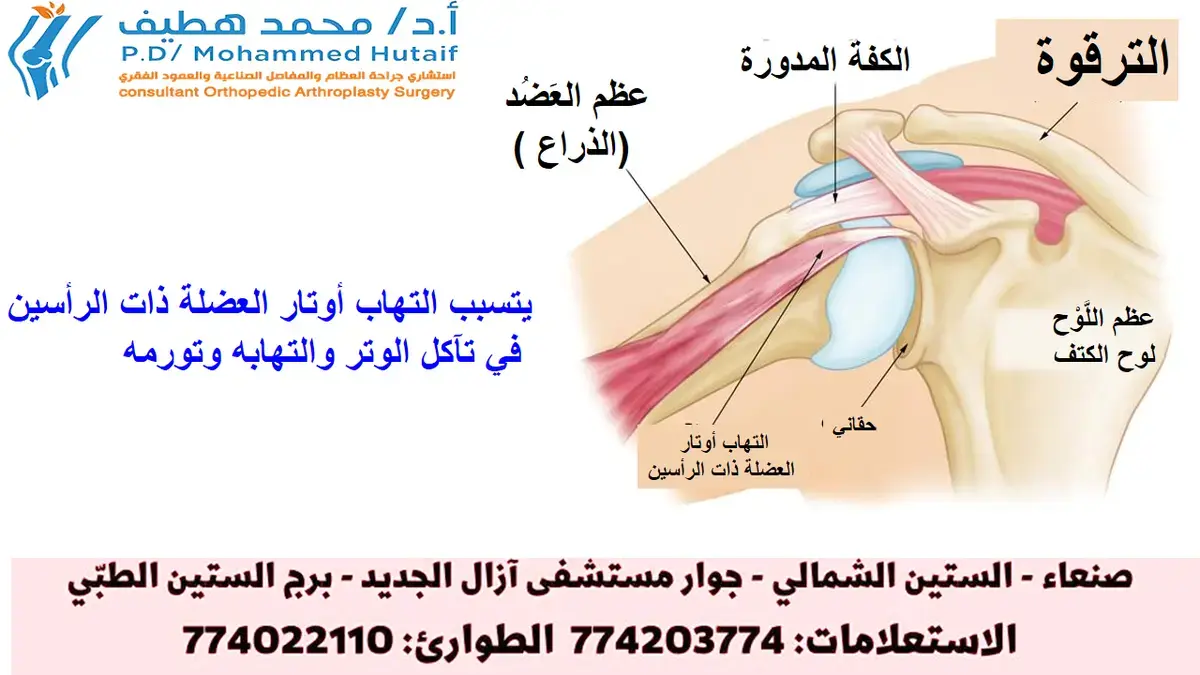 متى تظهر مراكز تعظم العظام في عمر طفلك؟ دليلك الشامل