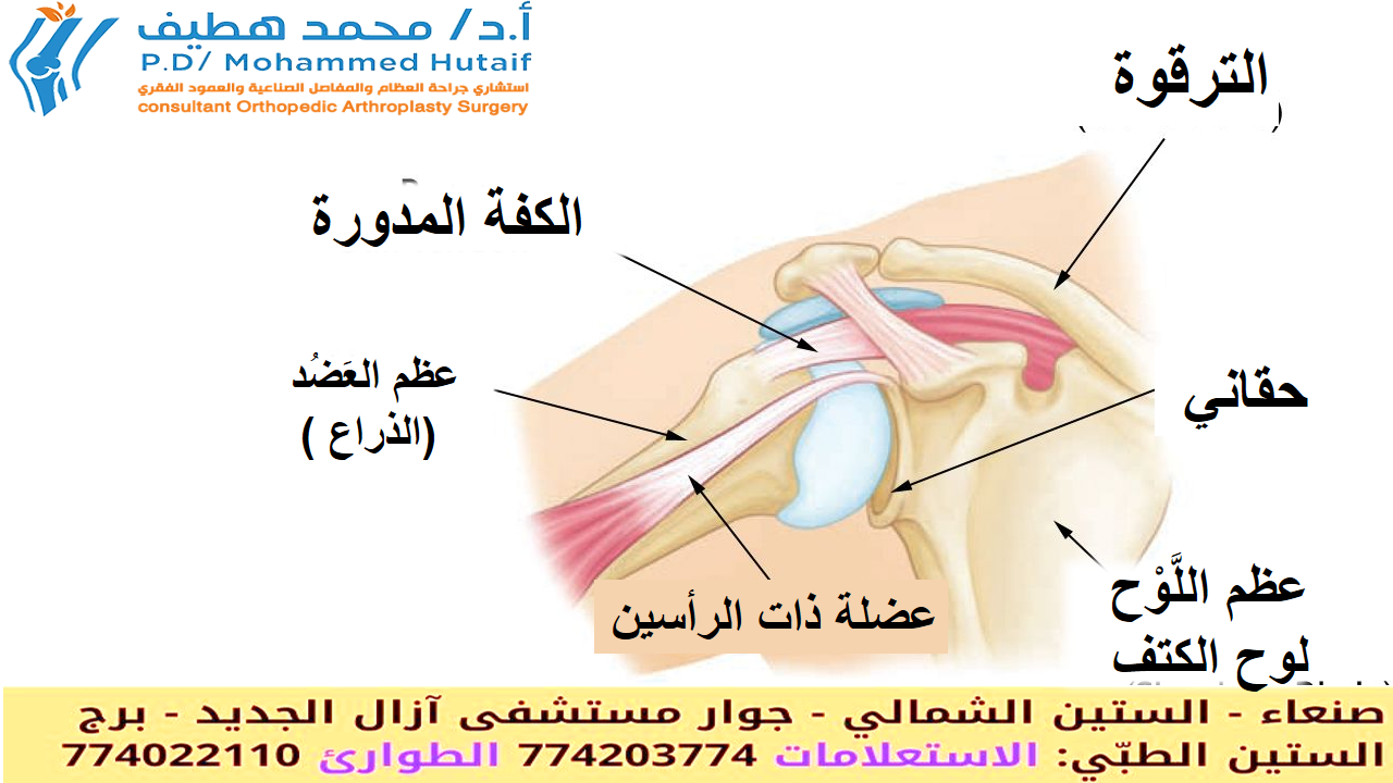 وداعاً لخلع الكتف المتكرر: فهم وعلاج عدم استقرار الكتف